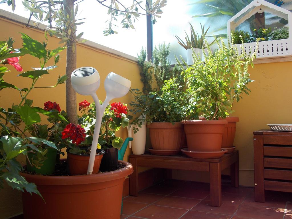 بيزا B&B Dei Cavalieri المظهر الخارجي الصورة
