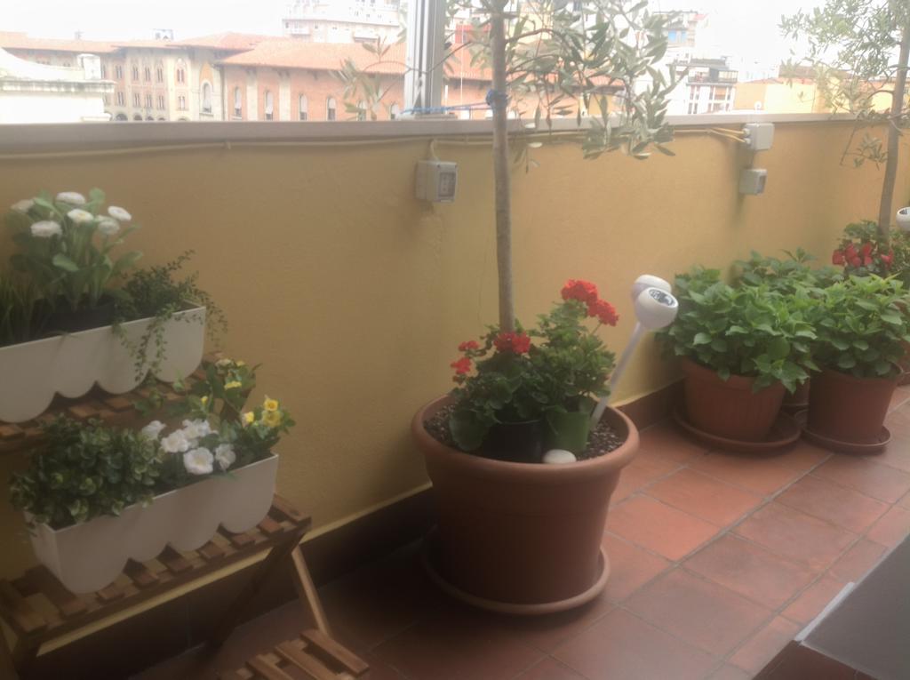 بيزا B&B Dei Cavalieri المظهر الخارجي الصورة